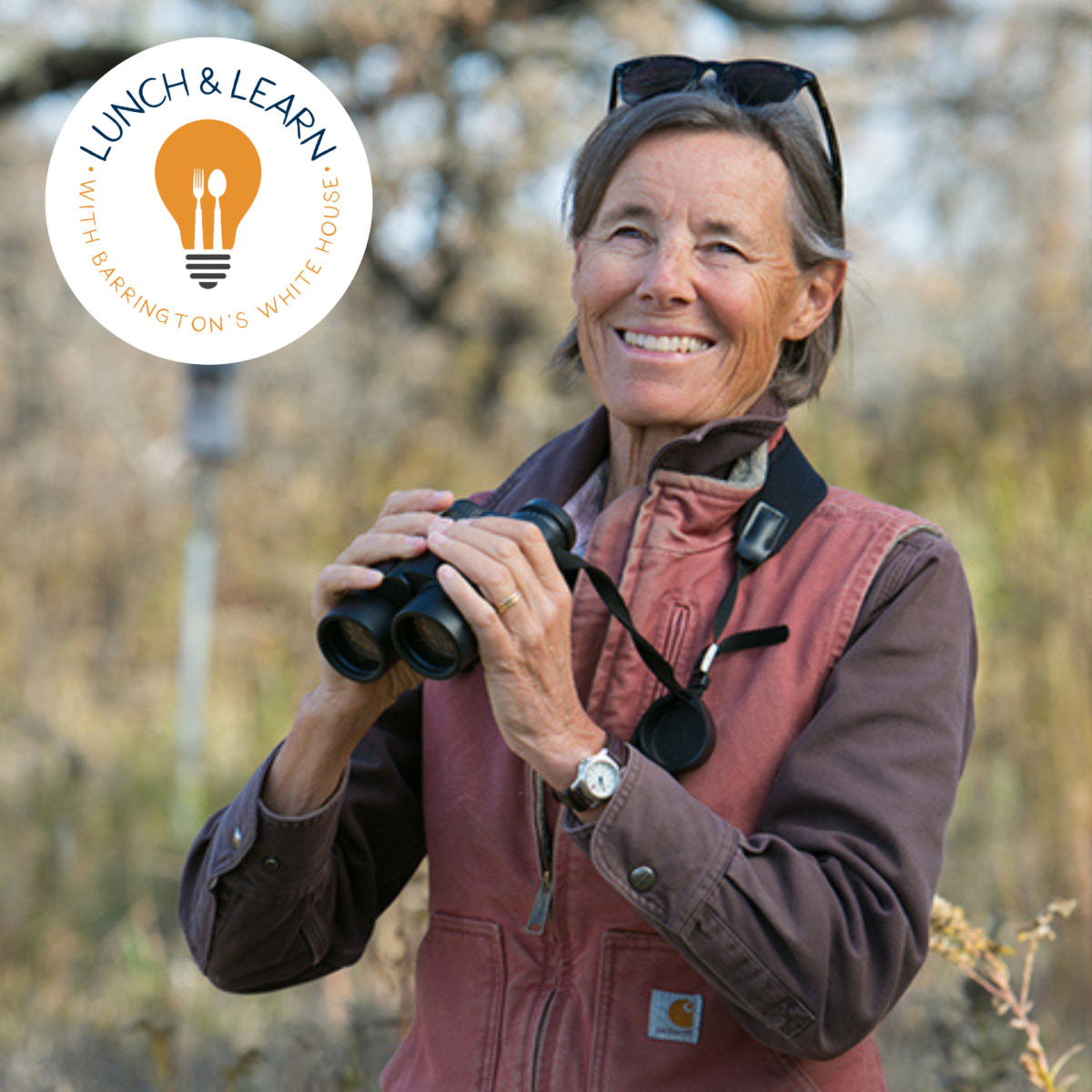 Lunch & Learn Birds of Barrington with Birder & Conservationist Wendy